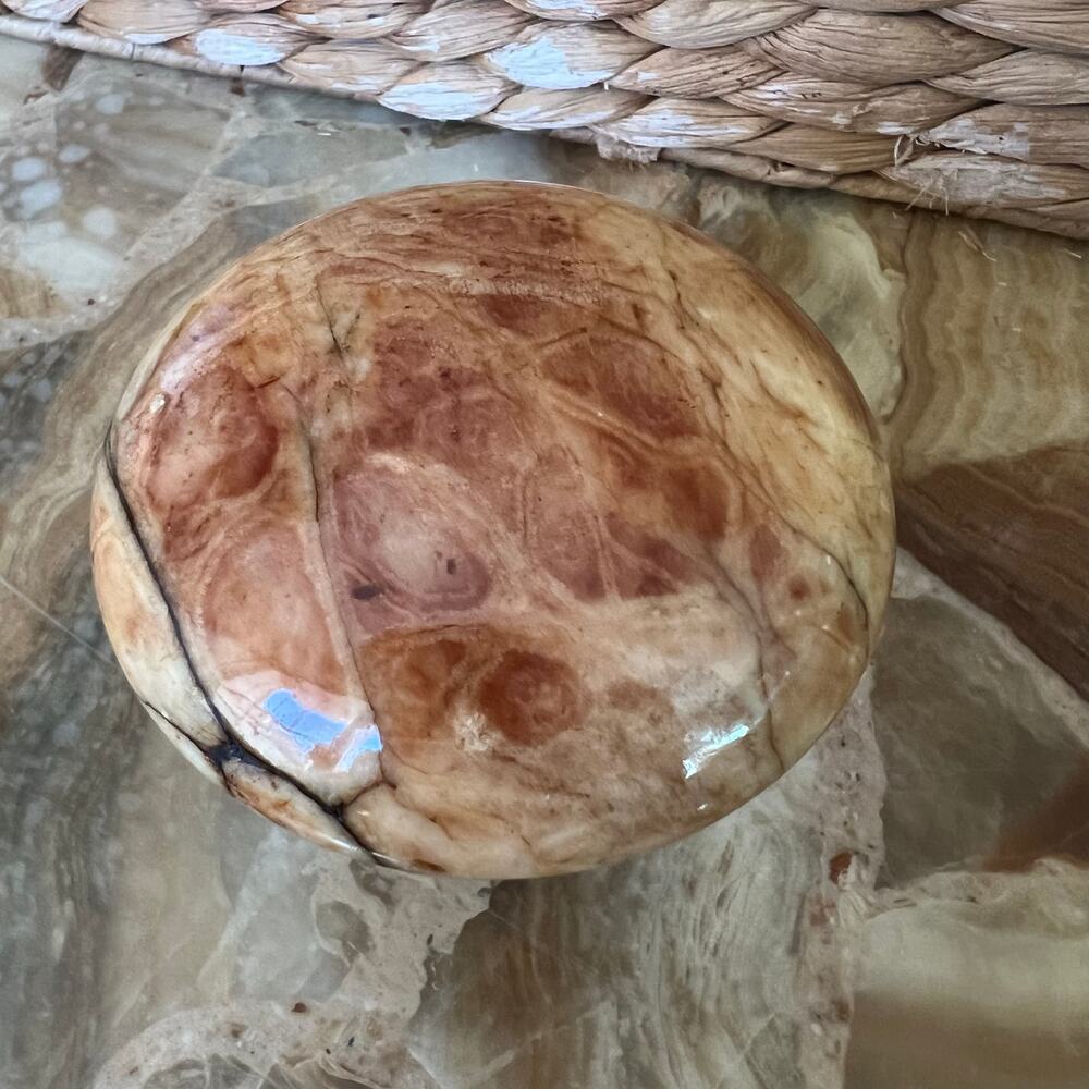 Mushroom Stone Paperweight - Picture 7 of 7